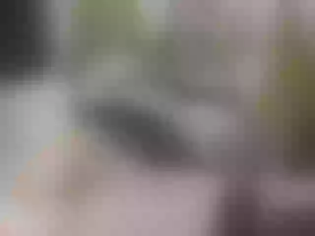 Live sex webcam photo for SansaStaark #290661823