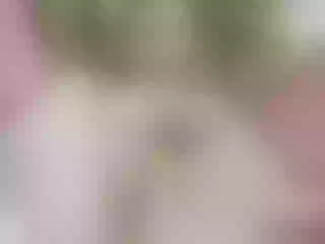 Live sex webcam photo for SansaStaark #290821122