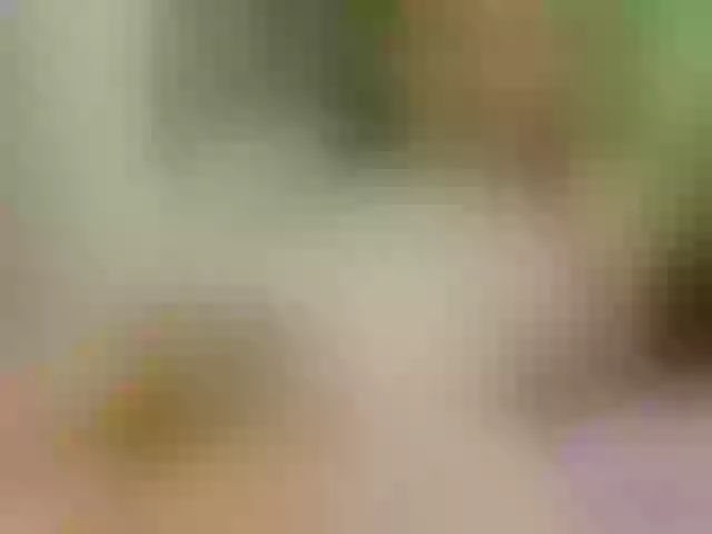 Live sex webcam photo for SansaStaark #290915317
