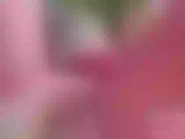 Live sex webcam photo for SansaStaark #291138783
