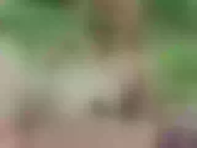 Live sex webcam photo for SansaStaark #291279096