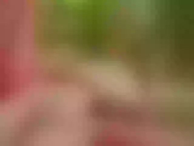Live sex webcam photo for SansaStaark #291466439