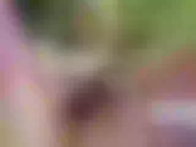 Live sex webcam photo for SansaStaark #291569886