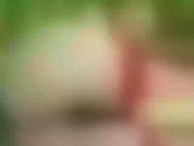 Live sex webcam photo for SansaStaark #291759315