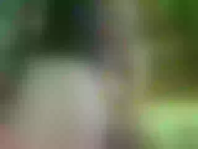 Live sex webcam photo for SansaStaark #291777983