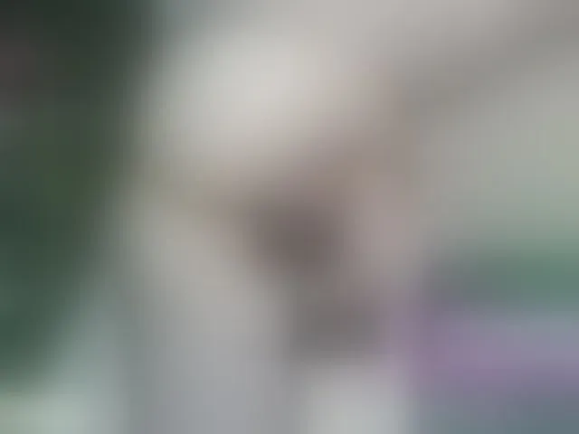 Live sex webcam photo for SansaStaark #293693658