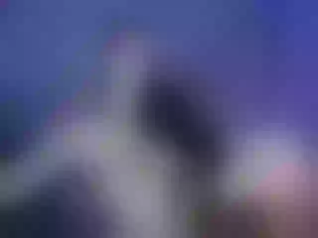 Live sex webcam photo for Sapphir3xoxo #290776483