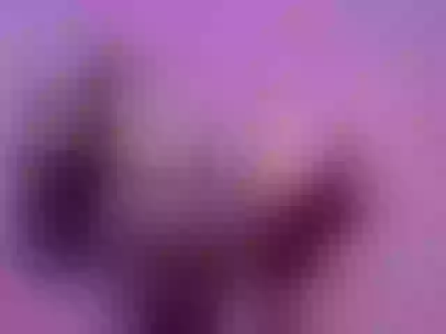 Live sex webcam photo for Sapphir3xoxo #290917410
