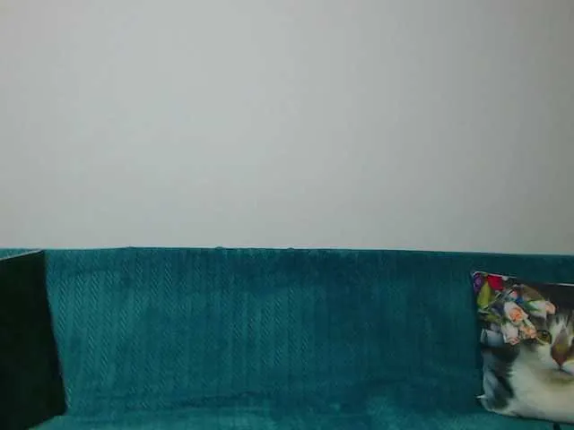 Live sex webcam photo for Sara-Daisy #291564383