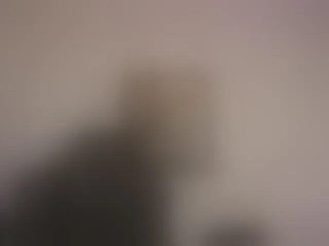Live sex webcam photo for SaraWinstone1 #293593015