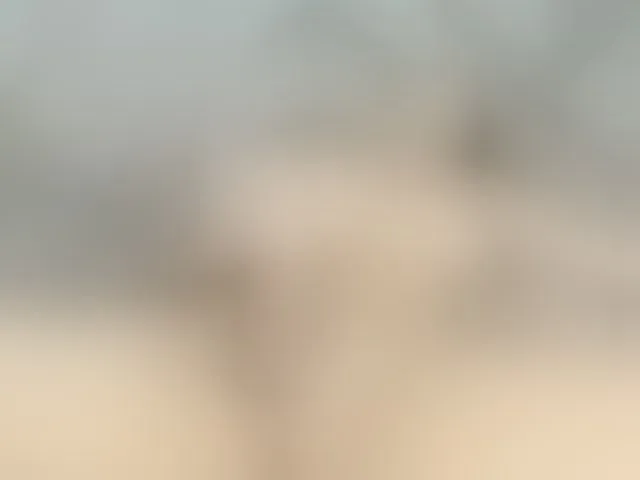 Live sex webcam photo for Saraamarilesx #293220892