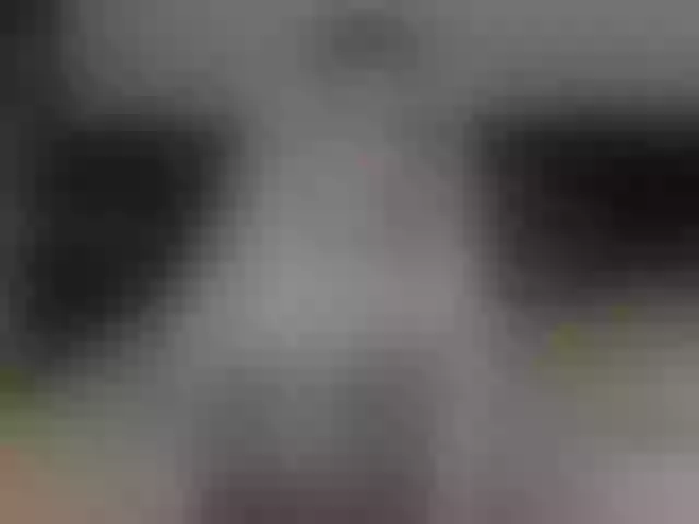 Live sex webcam photo for Saragrend1 #292073109