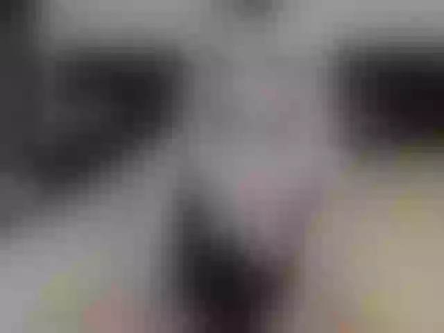 Live sex webcam photo for Saragrend1 #292268501