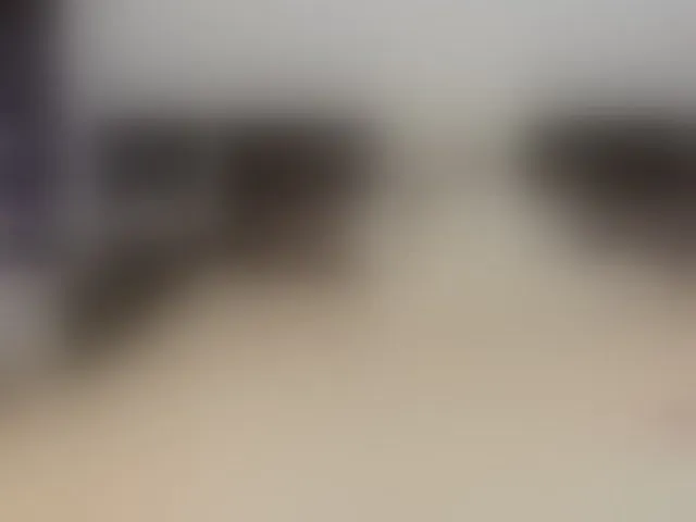 Live sex webcam photo for Saragrend1 #293855396