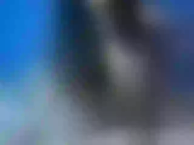 Live sex webcam photo for Sarah- #272483235