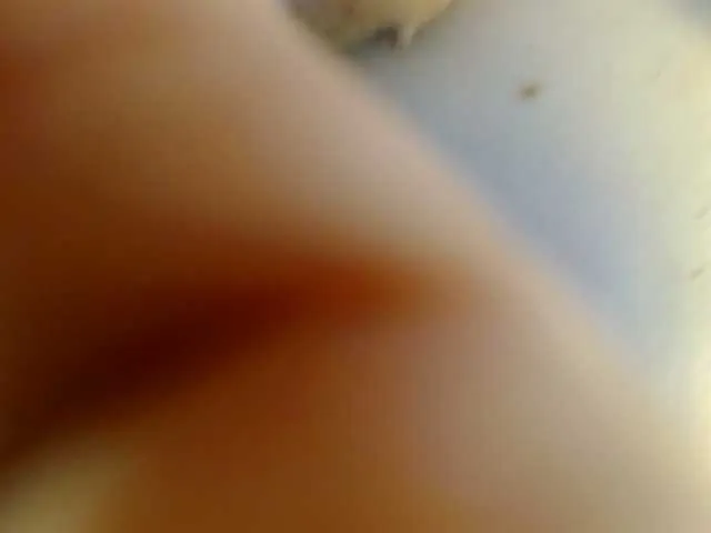 Live sex webcam photo for SarahBowie #277488038