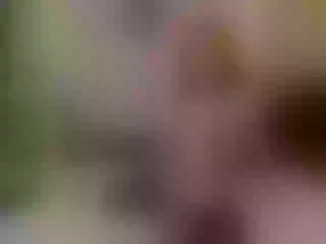 Live sex webcam photo for SarahMann #272237167