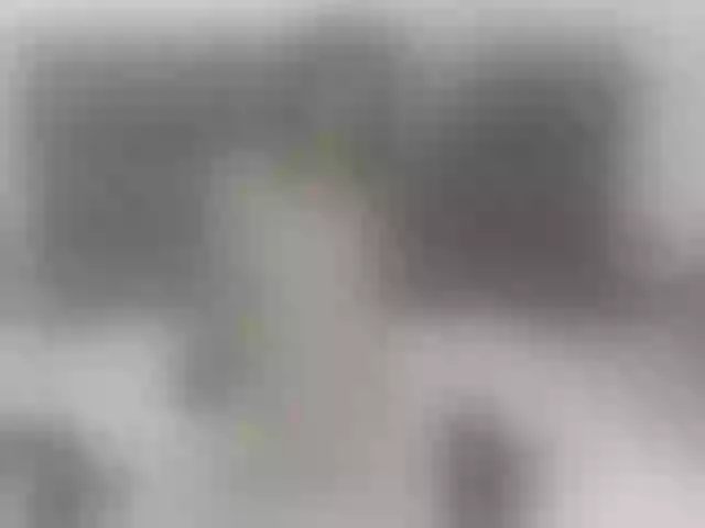 Live sex webcam photo for Saravegaa #277198525