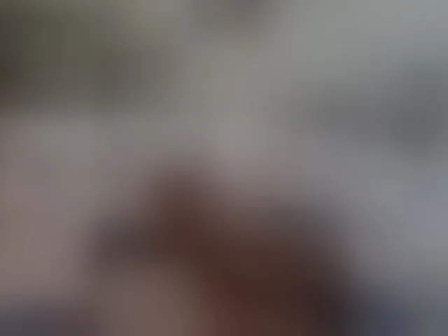 Live sex webcam photo for Saschab #293731648