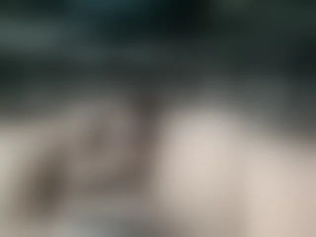 Live sex webcam photo for Sasha2600011 #292487921
