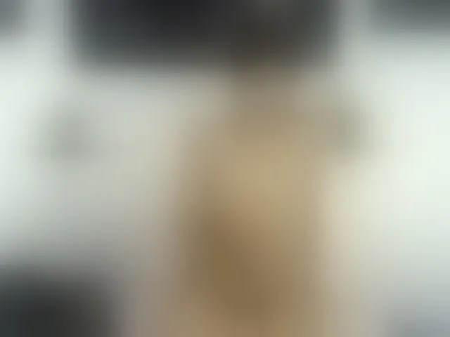 Live sex webcam photo for SashaBigcock #292574360