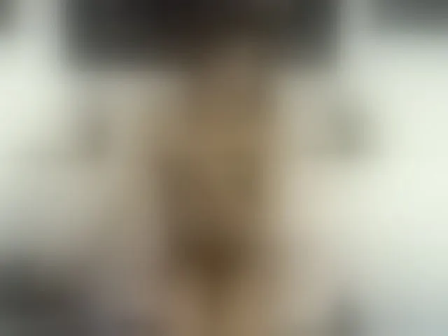 Live sex webcam photo for SashaBigcock #292579142