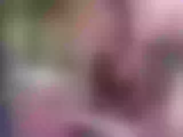 Live sex webcam photo for SashaDolly #290803290