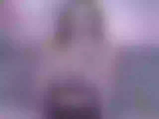 Live sex webcam photo for SashaDolly #290831709