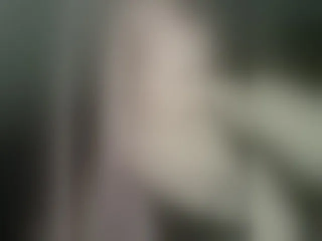 Live sex webcam photo for SashaLyubov #293723716