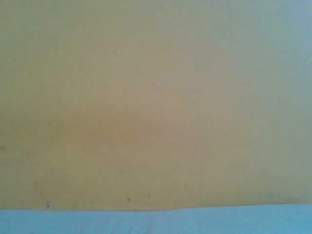 Live sex webcam photo for Sashgal #277500314