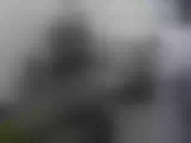 Live sex webcam photo for Sassy-bum #275739303