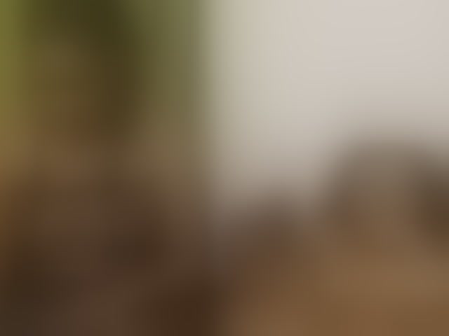 Live sex webcam photo for SassyAngels #293613070