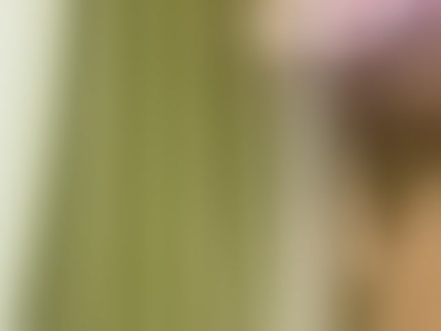 Live sex webcam photo for SassyAngels #293701991