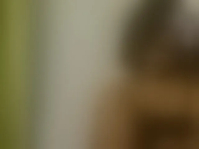 Live sex webcam photo for SassyAngels #293865716