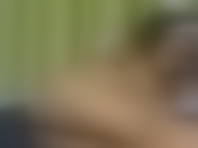 Live sex webcam photo for SassyAngels #293954017