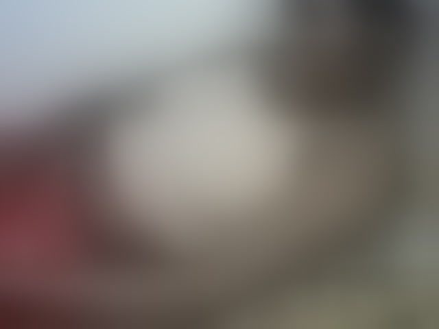 Live sex webcam photo for Sasyqueen #294209355