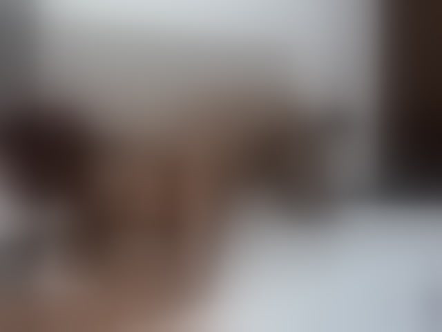 Live sex webcam photo for Scarlet-Estelle #294133978