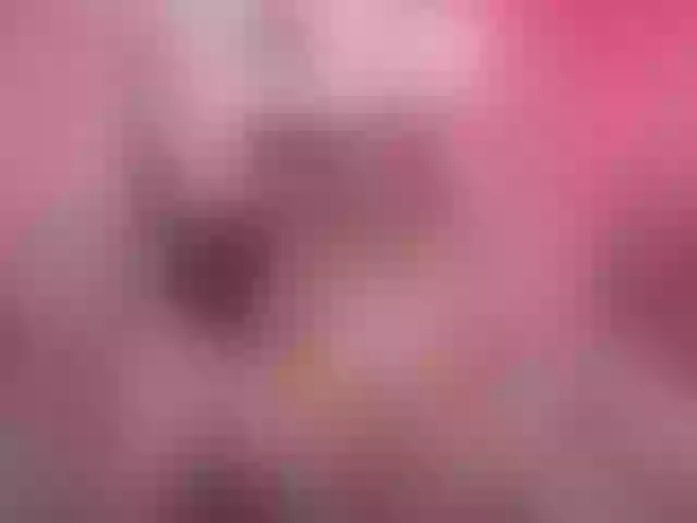 Live sex webcam photo for ScarletMorg-1 #274593055