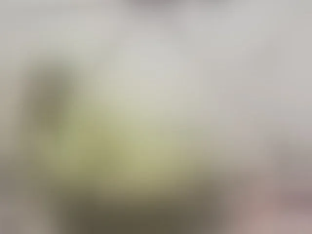 Live sex webcam photo for ScarlettHot5 #293496123