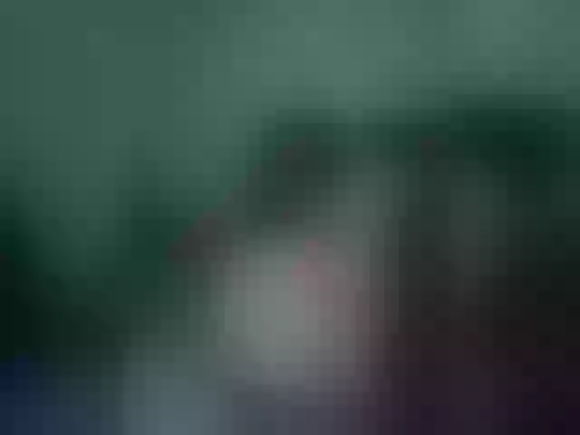Live sex webcam photo for Scorpion50 #290919629