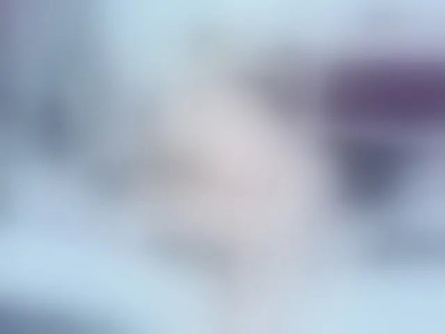 Live sex webcam photo for Sean-pierre #292524543