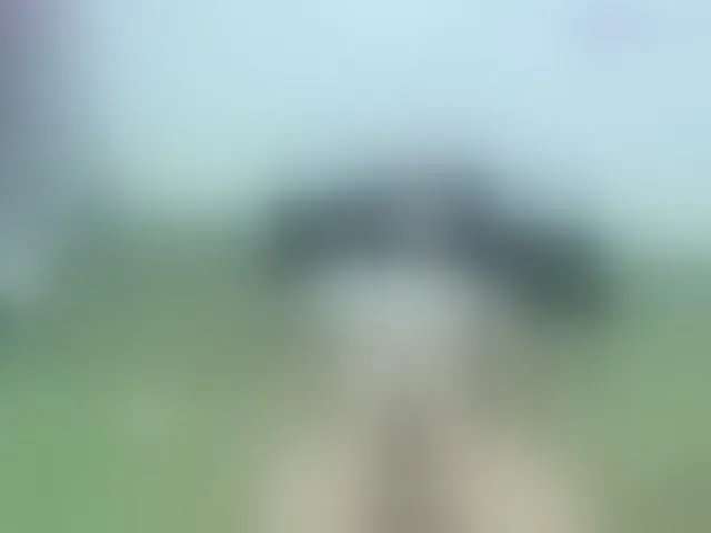 Live sex webcam photo for Sean-pierre #292786797