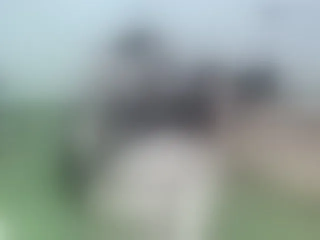 Live sex webcam photo for Sean-pierre #293773738