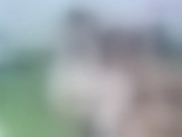 Live sex webcam photo for Sean-pierre #293895936