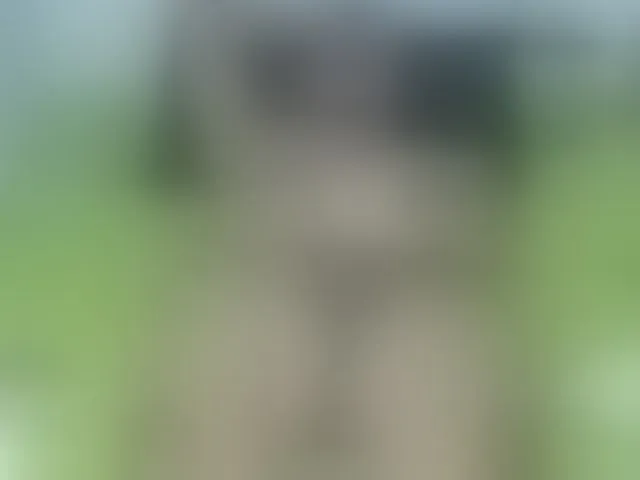 Live sex webcam photo for Sean-pierre #294052771