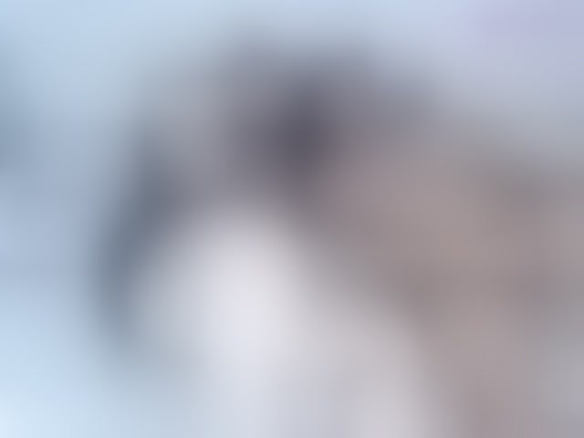 Live sex webcam photo for Sean-pierre #294150317