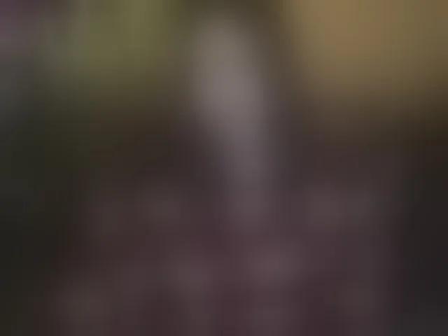 Live sex webcam photo for SecretKiraa #293279023
