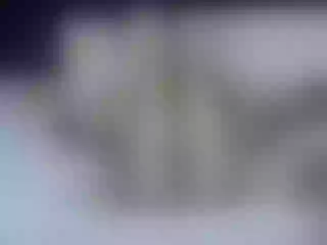 Live sex webcam photo for Secretdram-vc #292157624