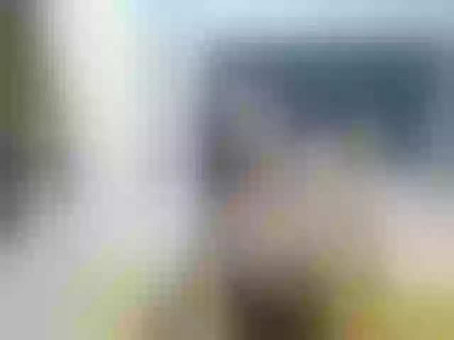 Live sex webcam photo for SeeyaNy #272985422
