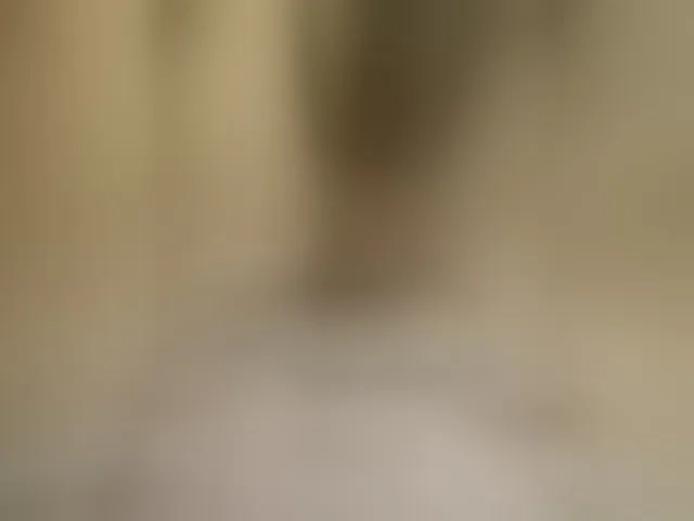 Live sex webcam photo for Sekspirs #293548661